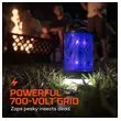 MINI Z-BUG LANTERN